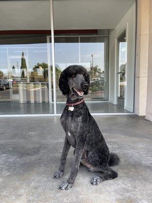 Jet rocking his summer cut!