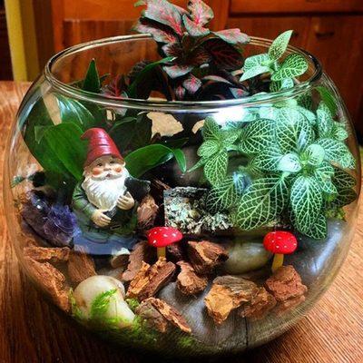 Terrarium Workshop