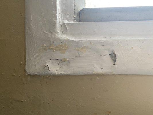 rotting window sill that was pointed out at move in and never fixed in the living room