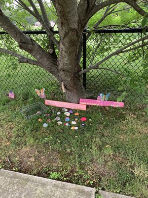 Kindness Rocks on left side of building down sidewalk