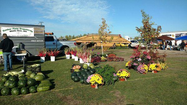 Honker Flats  market booth at Middle River Goose Festival.  We also display at Everybody's Market at Thief River Falls and No...