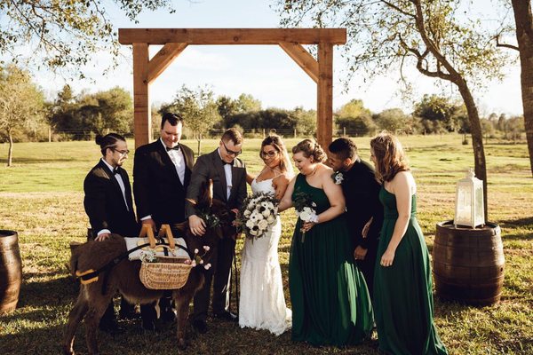 Our wedding donkey with a bridal party.