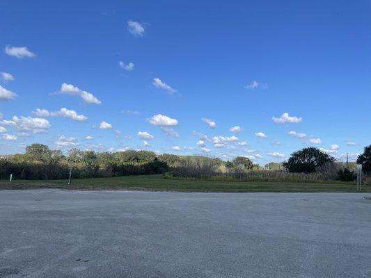 Rural shelter means wide open country scenery with great dogs to choose from