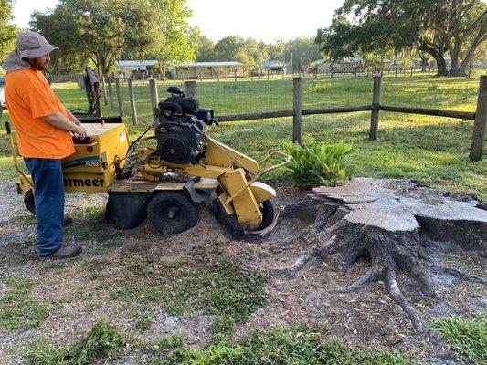 Noland Stump Removal