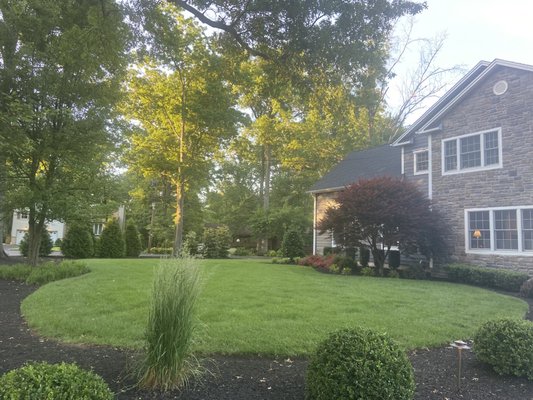 Front of home, lawn, beds and trees/shrubs