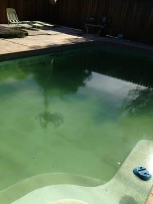 This is how my pool looks after a months of hiring Clear blue pools ... It doesn't look clear at all. Awful service .