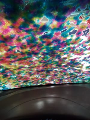 Why isn't every car wash was this pretty!?