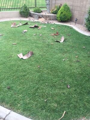 Yard debris