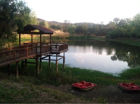 The water is so low the deck sits on land. The plants surround entire lake and there's bees swarming and huge toads, gross.