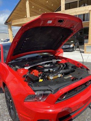 2014 Mustang GT 5.0 engine bay