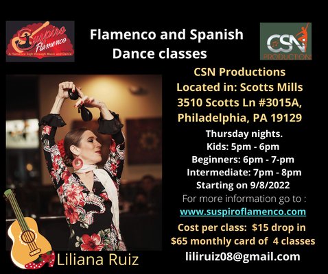 Flamenco classes