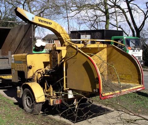 los angeles tree removal