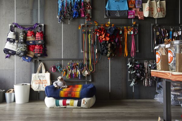 Leash and accessory wall. We're all about color here!