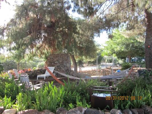 Serenity garden with waterfall