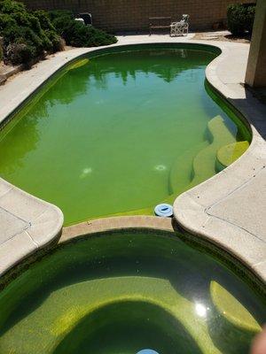 Picture Perfect Pool Maintenance