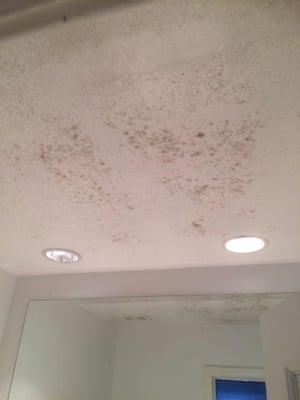 Mold growth found in a customers bathroom at the ceiling due to condensation issues from bathroom/attic ventilation not worki...