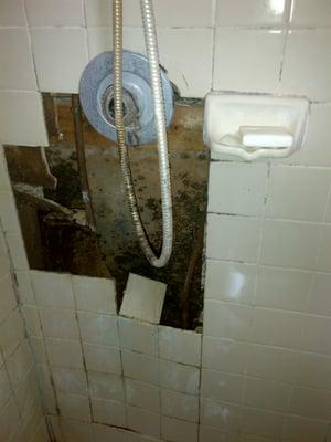 Rental property shower "Before"