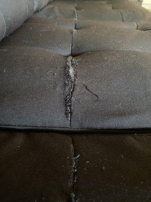 Couch seam separated severely, you can see all the cushion fibers all over the place.