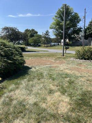 Stump was ground and dirt filled in nicely for grass planting