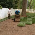 Installing sod in the hall patio.