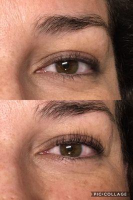 Lash Lift and Tint