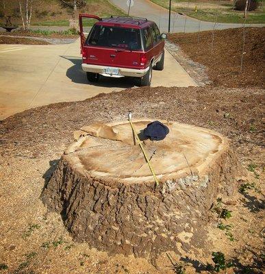 Sometimes a text pic with stump measurement and location is all that is needed to get an accurate estimate.