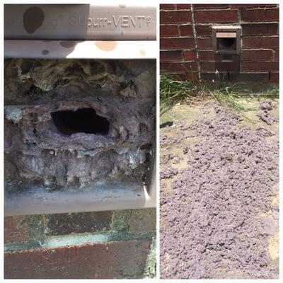 This is why is so important to have your drier vent cleaned.