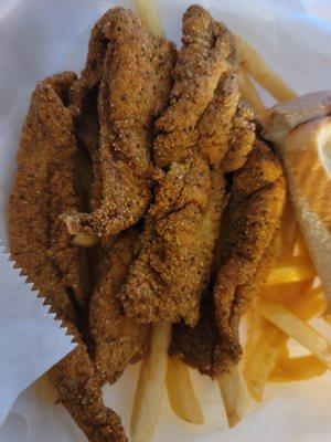 2pc catfish filets