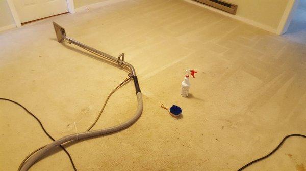 Professional Carpet Cleaning Service 
Silver Spring project