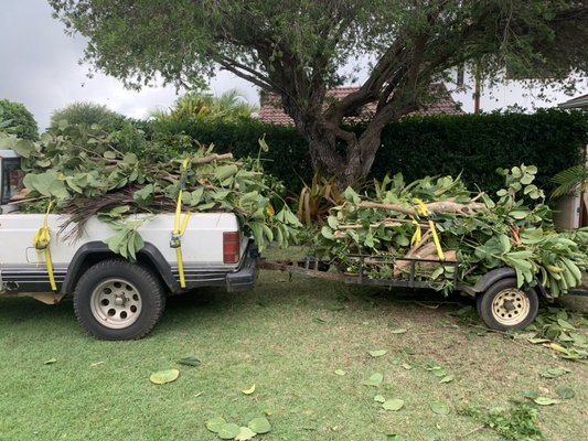 Green waste haul outs