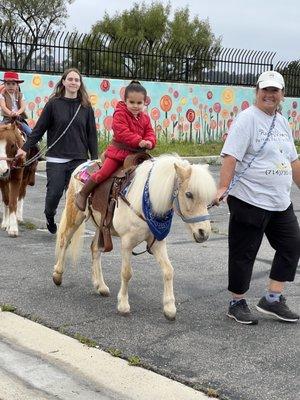 Pony Rides