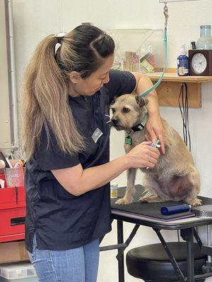 Getting my nails trimmed, then later a grooming session.