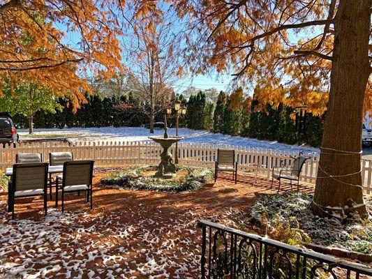 Fall/Winter in the Courtyard