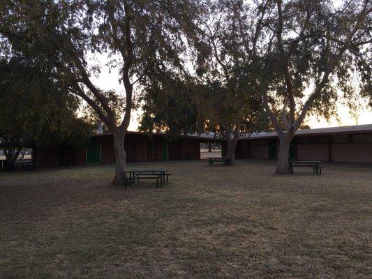 Just one of the beautiful courtyard areas between the classroom buildings.