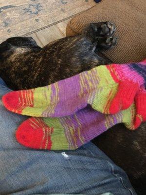 Socks by me! Ava was no help used Berroco Sox yarn