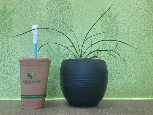 The "Milk & Honey" smoothie is loaded with 13 grams of natural proteins. *dairy free