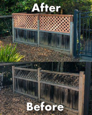 Their dog was escaping the yard by jumping my client's short front fence.  I extended it for her to keep her dog safely in the yard.