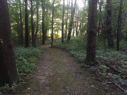 The short loop trail at Fichtner Park.