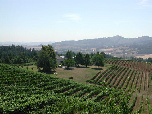 Vineyards and Wine Tours Willamette Valley, Oregon