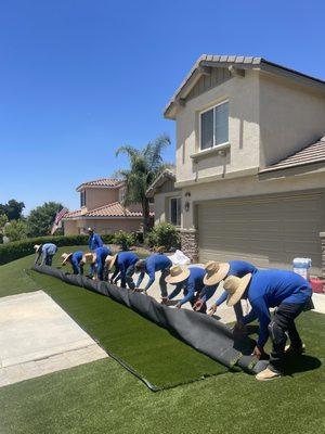 Artificial Grass Solution