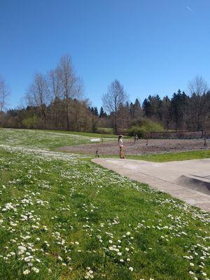 Sand volley courts.