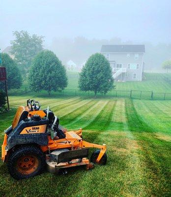 Grass cutting, lawn care