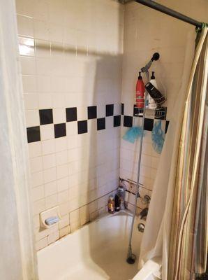 Before original  shower wall