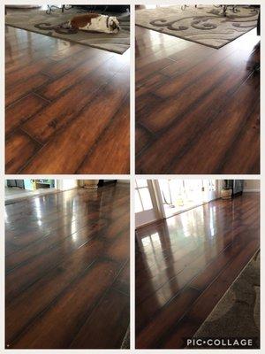 Our laminate floors before (right) and after (left). This room gets lots of traffic and I have a dog that sheds and drools like crazy.