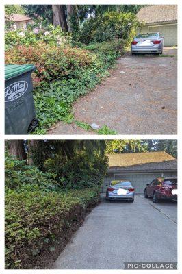 Driveway, before and after