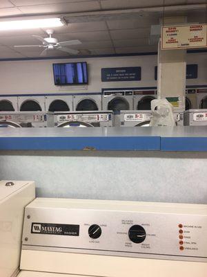 Dryers and large Washers