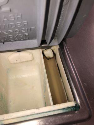 Mold and dirty water