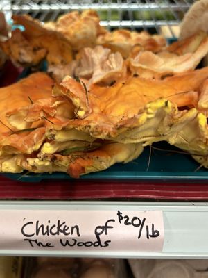 Chicken of the woods are my new fav!