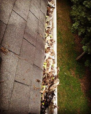 Gutter cleaning