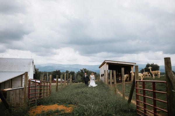 Mountain Destination Wedding